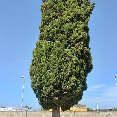 L'Albero Bello Holiday Mazara del Vallo Exterior photo