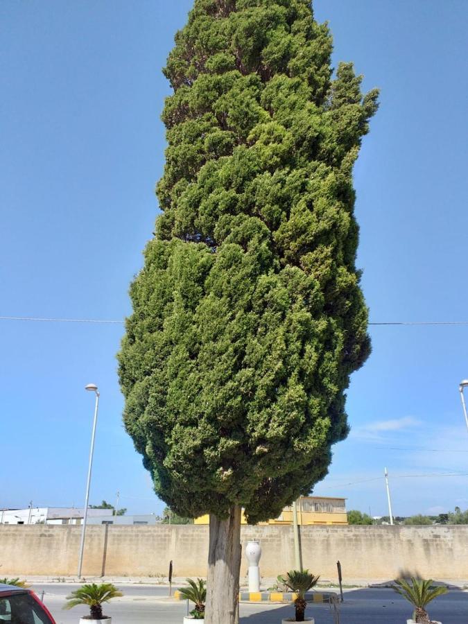 L'Albero Bello Holiday Mazara del Vallo Exterior photo